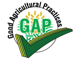 GAP certified