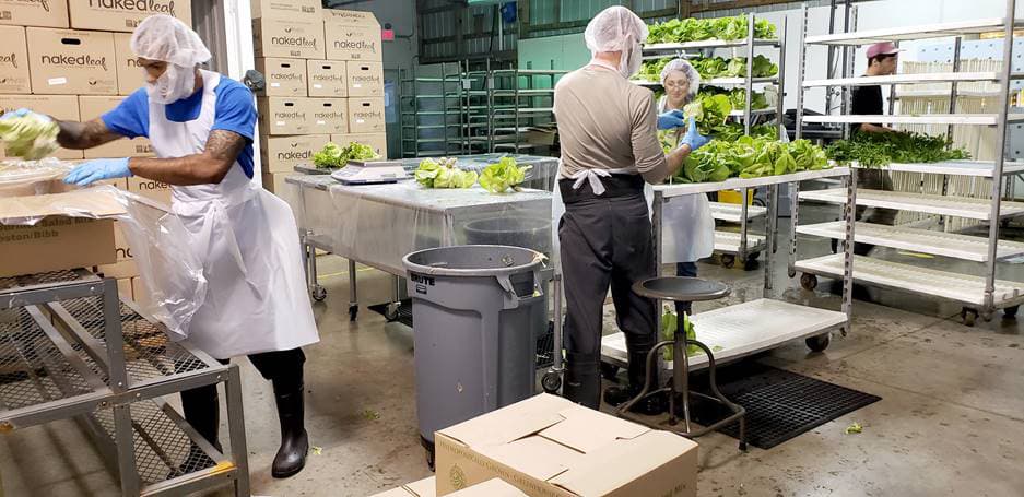Our team at work in the facility
